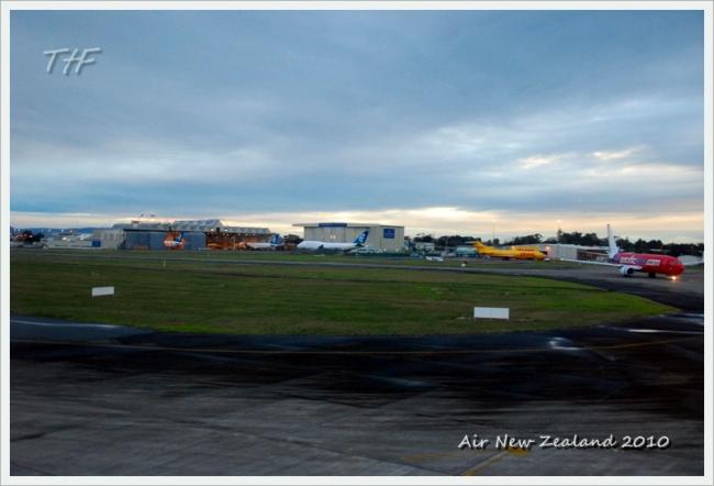 NZ155.JPG
